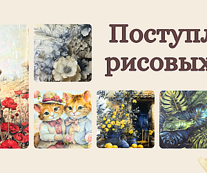 https://dekoshop.kz/category/risovye-karty-raznyh-proizvoditelej/